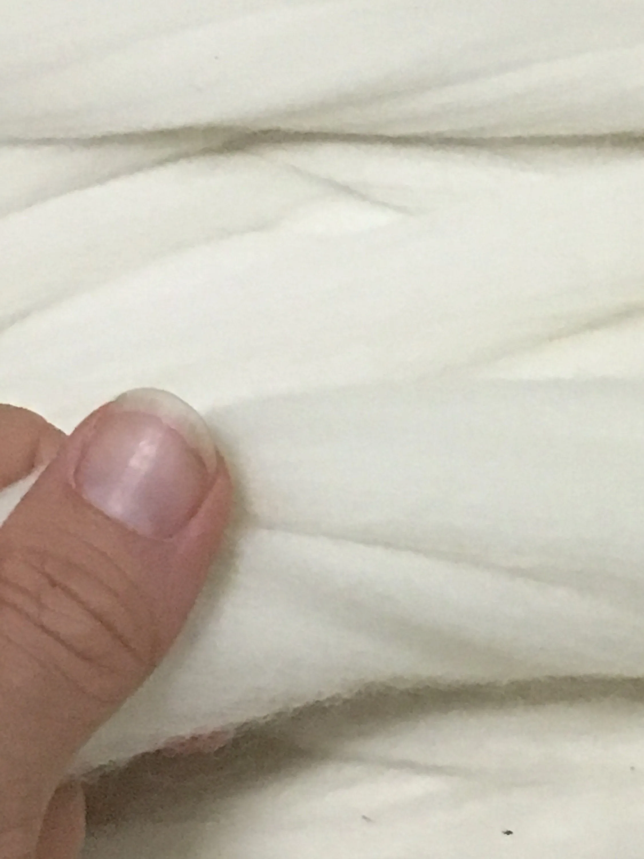 120 lbs Wool Roving  in 4 x 30 lb Rolls ,Wholesale White Wool Top Roving, Bulk Wool Roving, Bulk Yarn Roving, Wholesale Chunky Blanket Yarn