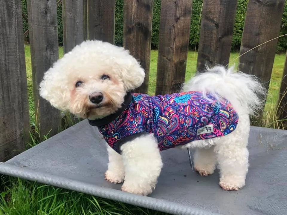 Bohemian Waterproof Microfleece McTog Dog Jumper