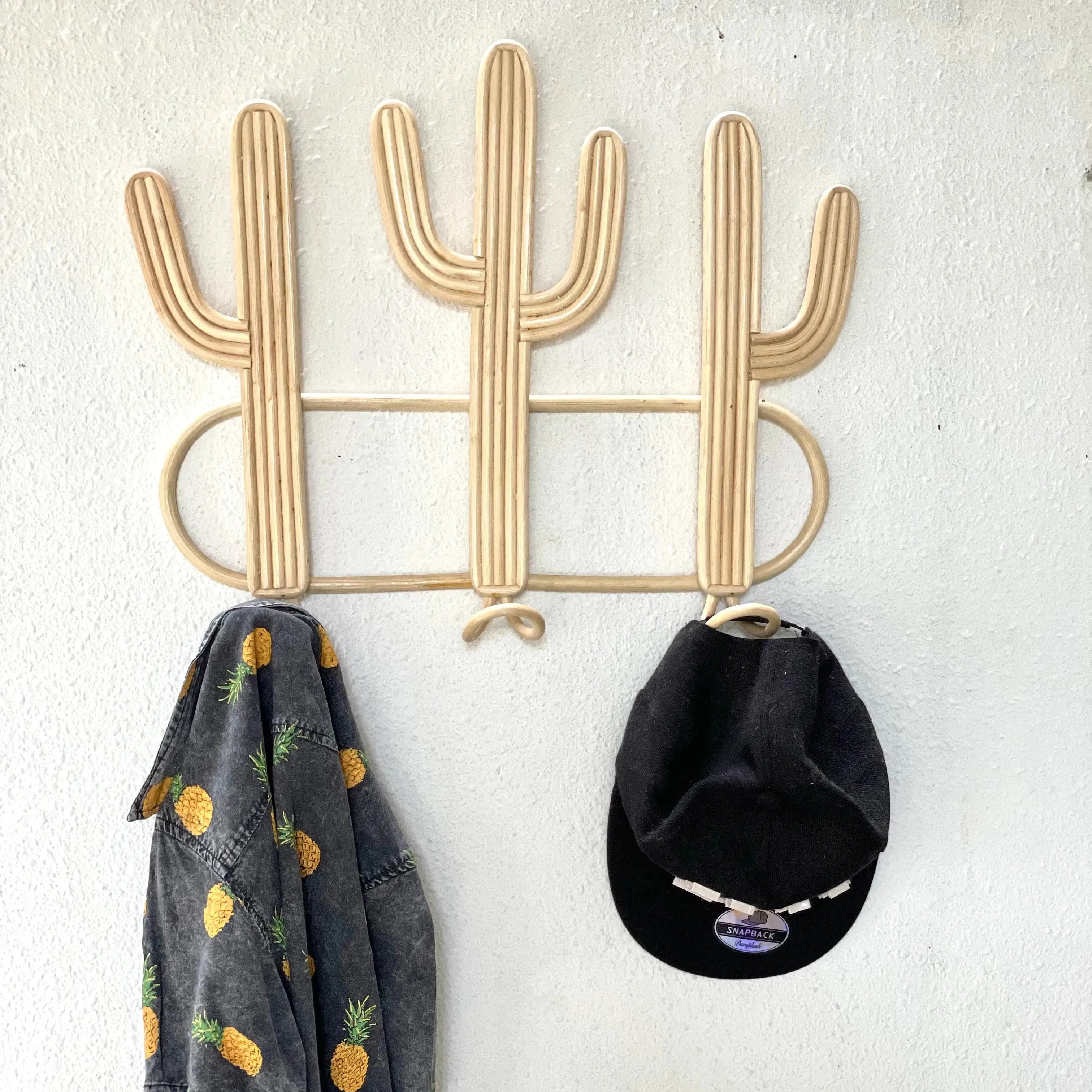 Cactus Hanger