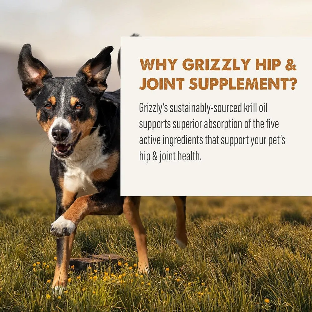 Hip & Joint Oil Food Supplement for Dogs & Cats
