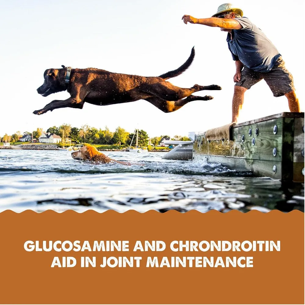 Hip & Joint Oil Food Supplement for Dogs & Cats
